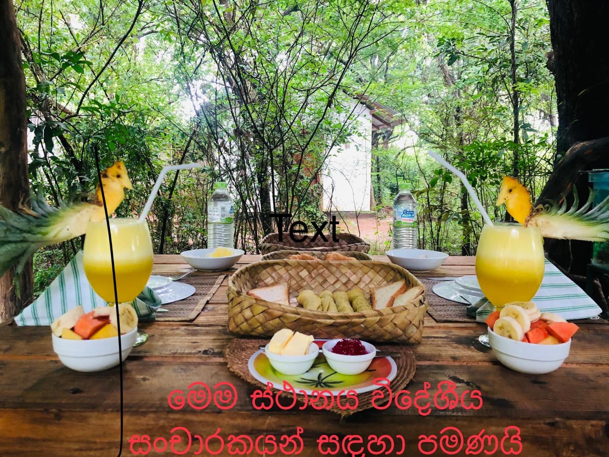 Grand Freedom Bed and Breakfast Sigiriya Exterior foto